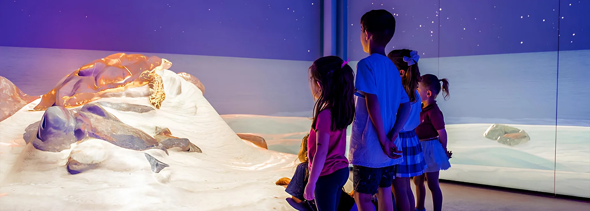 An immersive Great Barrier Reef experience at SEA LIFE Sydney Aquarium, with interactive software, 3D projections, and turtle life cycles.