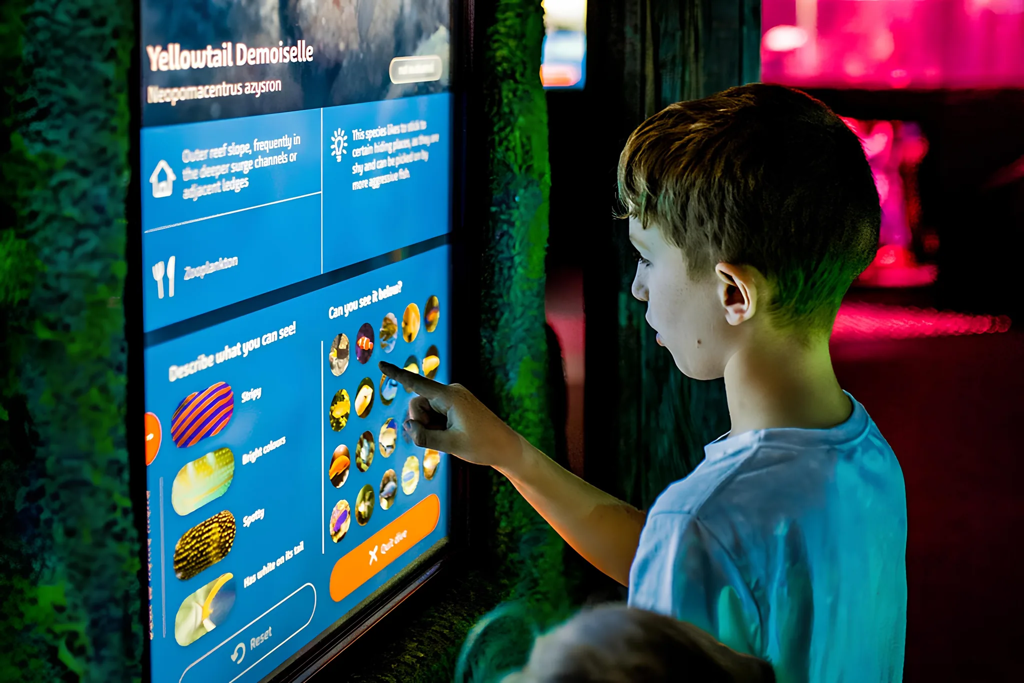 An immersive Great Barrier Reef experience at SEA LIFE Sydney Aquarium, with interactive software, 3D projections, and turtle life cycles.
