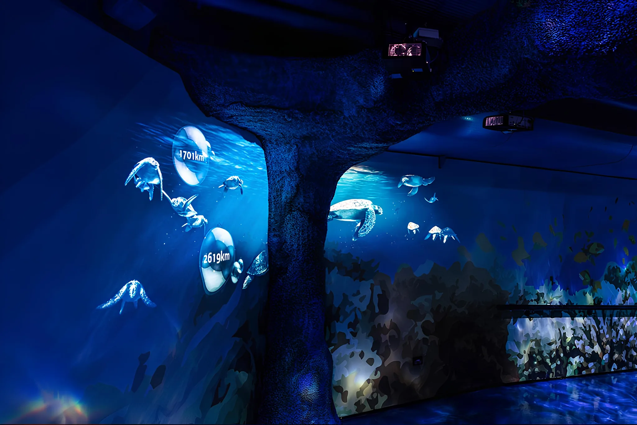 An immersive Great Barrier Reef experience at SEA LIFE Sydney Aquarium, with interactive software, 3D projections, and turtle life cycles.