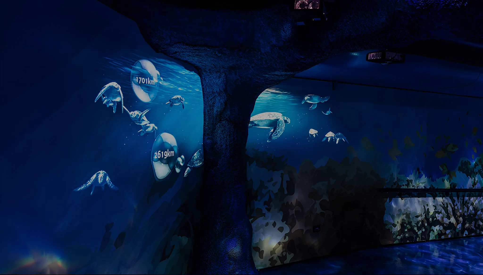 An immersive Great Barrier Reef experience at SEA LIFE Sydney Aquarium, with interactive software, 3D projections, and turtle life cycles.